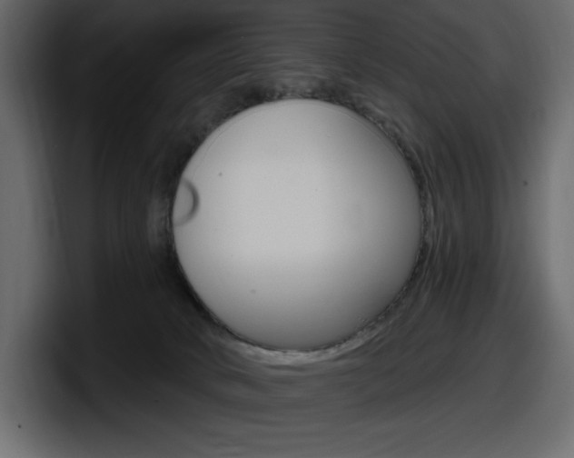 X0000098050034200803280739