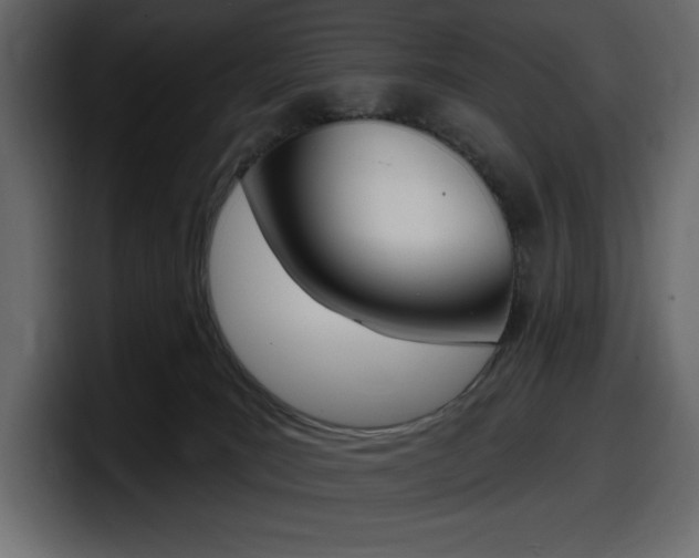 X0000098050035200803280739