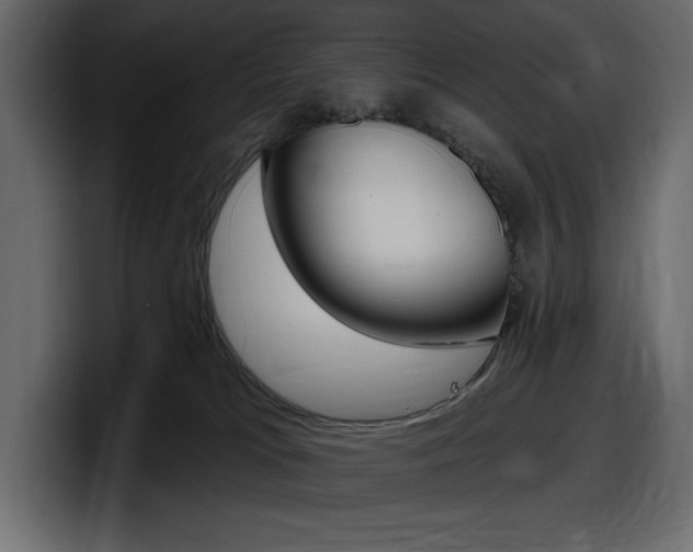 X0000098050037200803280739