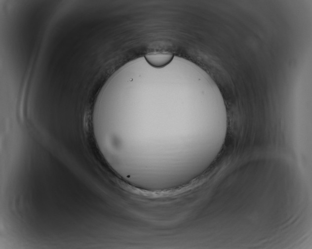 X0000098050038200803280739