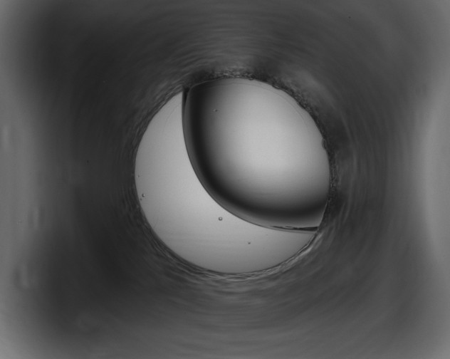 X0000098050041200803280739