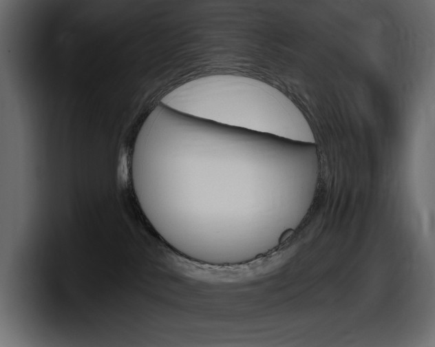X0000098050042200803280739