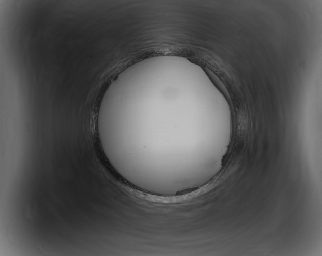 X0000098050043200803280739