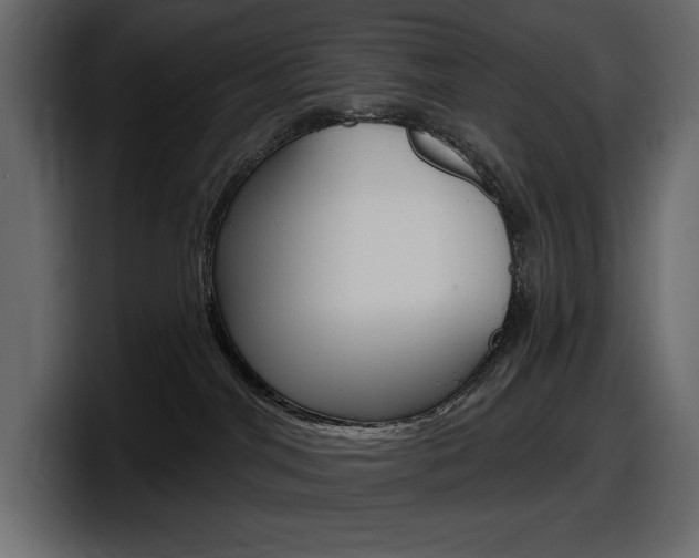 X0000098050044200803280739