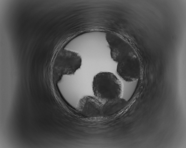 X0000098050049200803280738