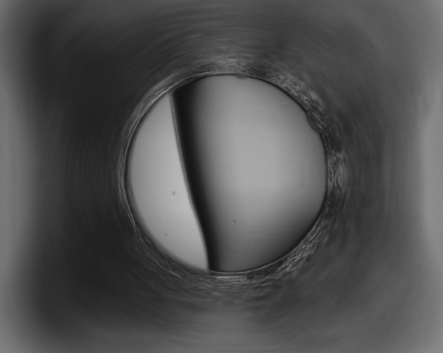 X0000098050051200803280738