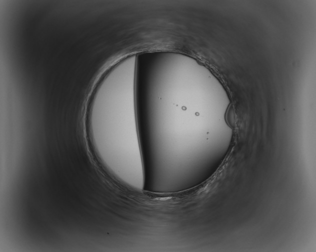X0000098050054200803280738