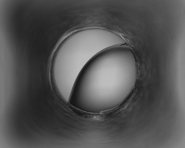 X0000098050056200803280738