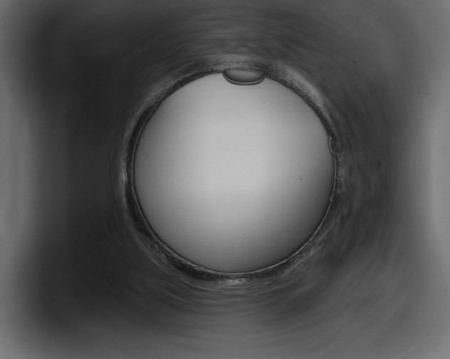 X0000098050059200803280738