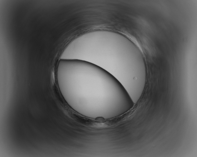 X0000098050061200803280738