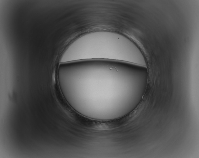 X0000098050062200803280738