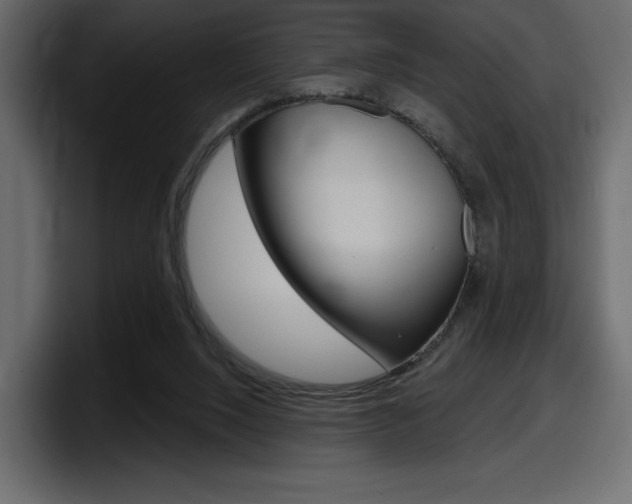 X0000098050064200803280738