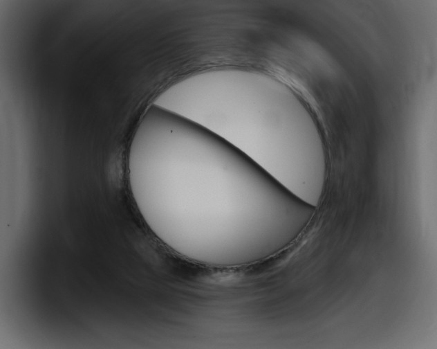X0000098050065200803280738