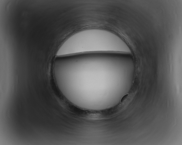 X0000098050066200803280738