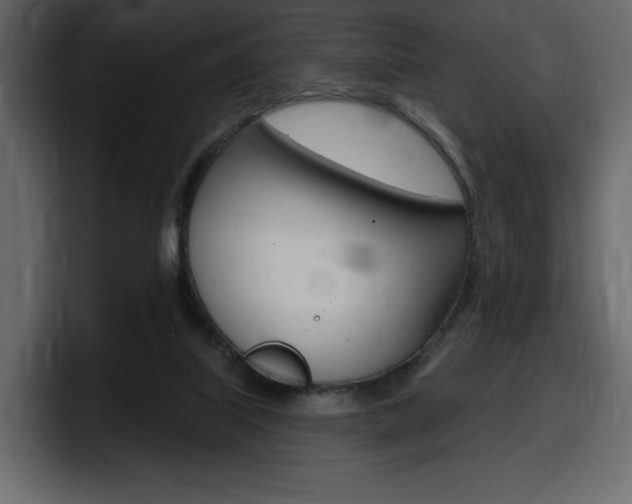 X0000098050067200803280738