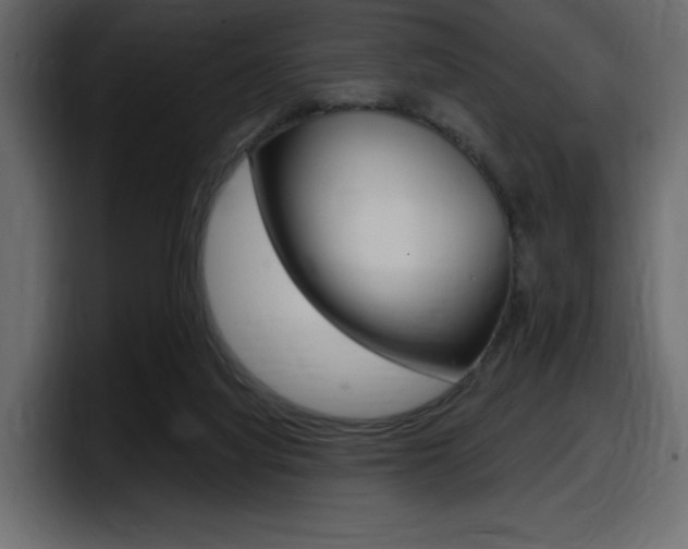 X0000098050068200803280738