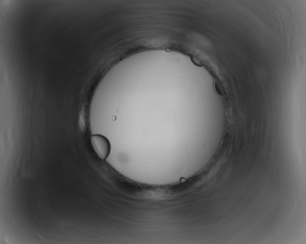 X0000098050069200803280738