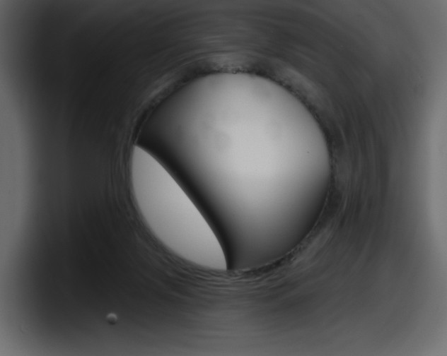 X0000098050071200803280738