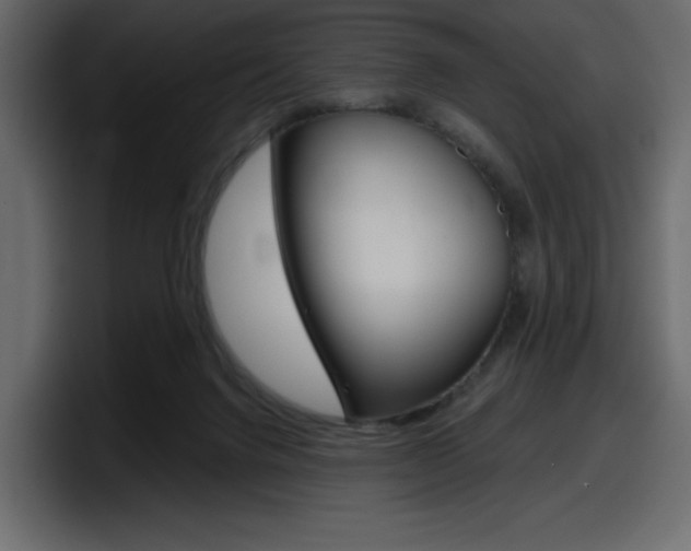 X0000098050072200803280738