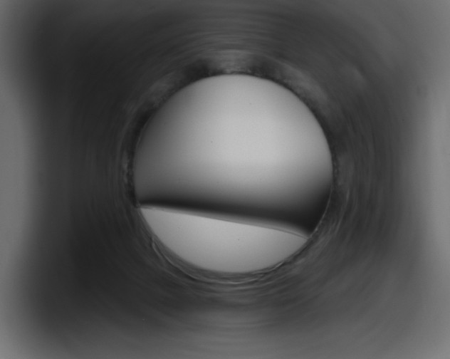 X0000098050073200803280738