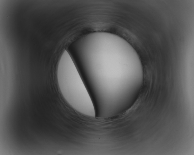 X0000098050074200803280739