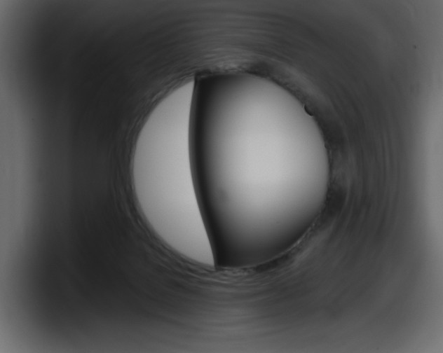 X0000098050076200803280739