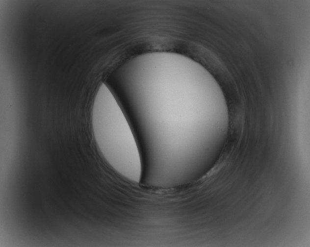 X0000098050078200803280739