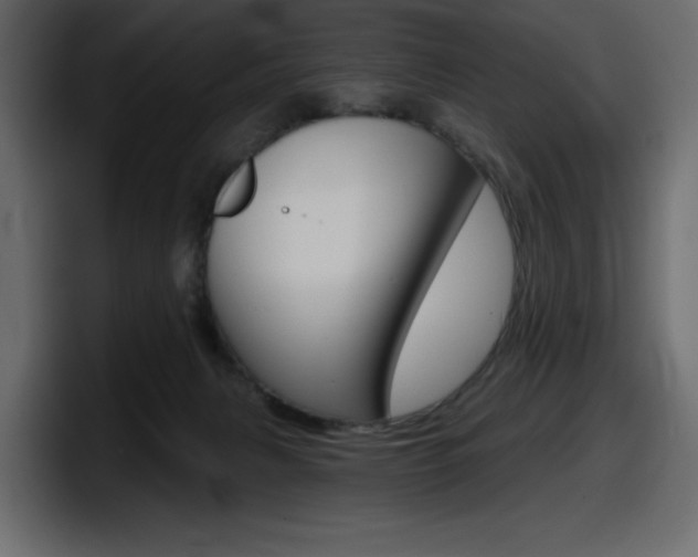 X0000098050079200803280739