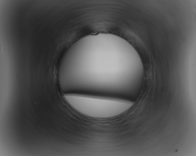 X0000098050081200803280739