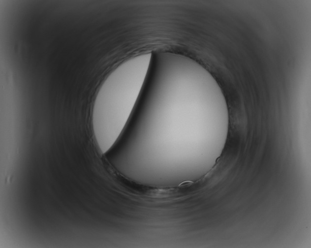 X0000098050082200803280739