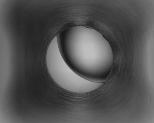 X0000098050084200803280739