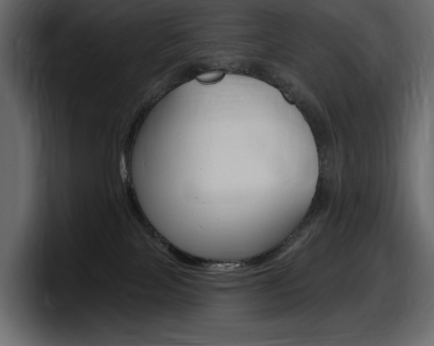X0000098050089200803280739