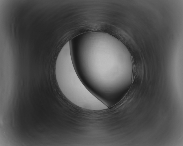 X0000098050092200803280739