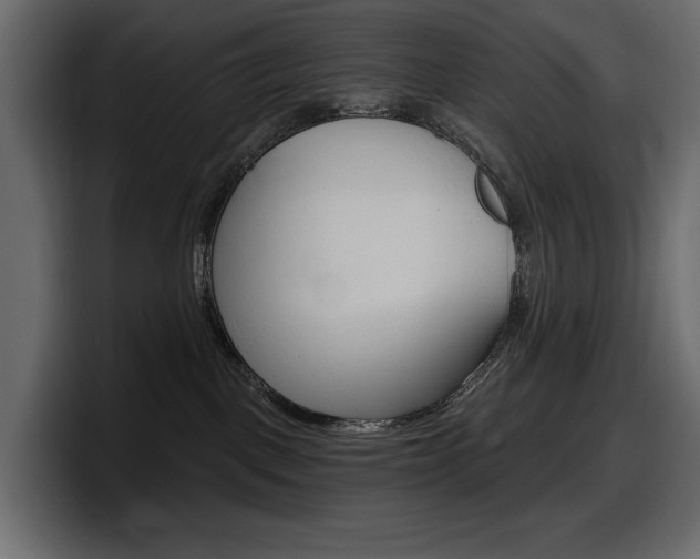 X0000098050093200803280739