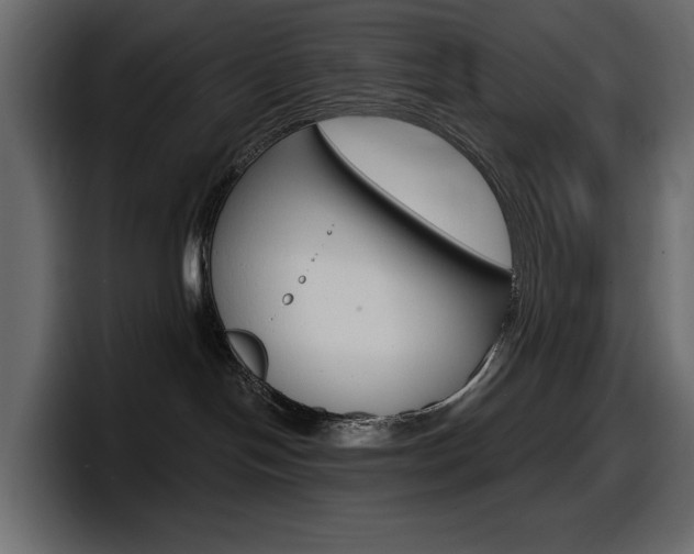X0000098050094200803280739
