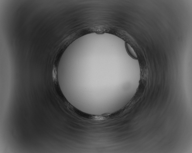X0000098050095200803280739