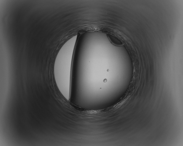 X0000098050096200803280739