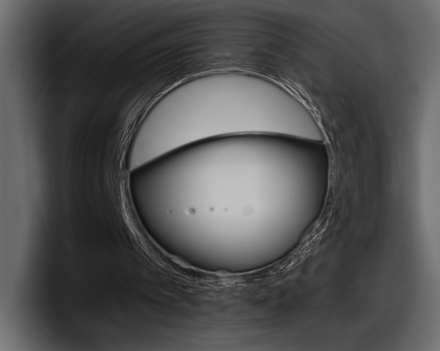 X0000098050097200803280738