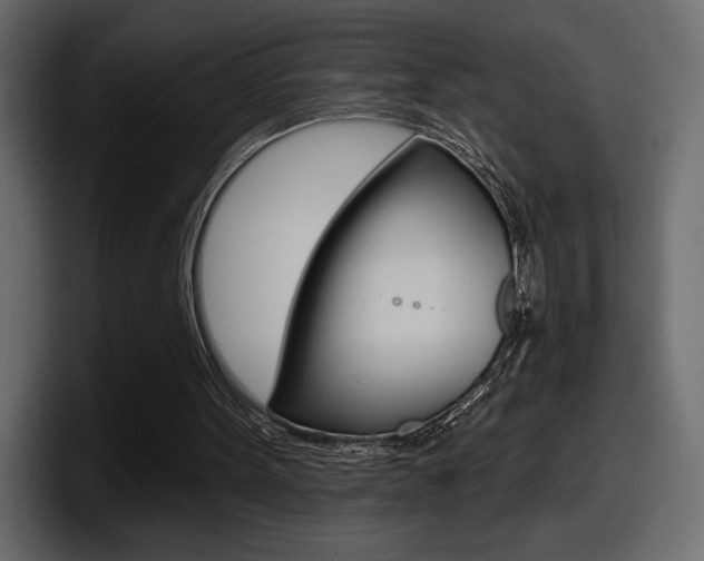 X0000098050099200803280738