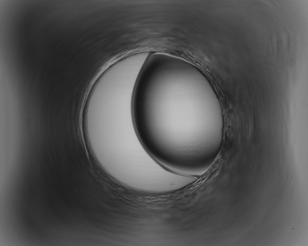 X0000098050100200803280738