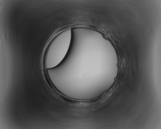 X0000098050102200803280738