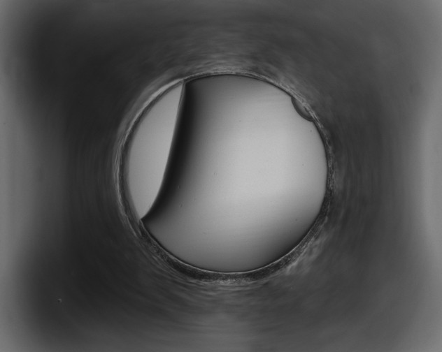 X0000098050103200803280738