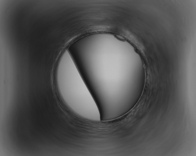 X0000098050107200803280738