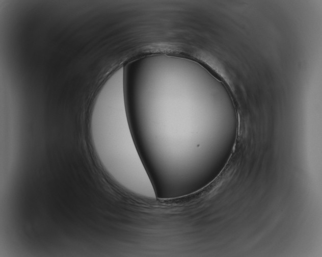 X0000098050109200803280738
