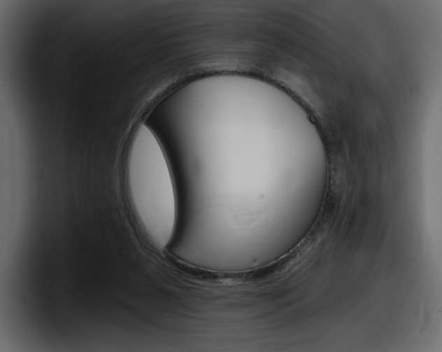 X0000098050111200803280738