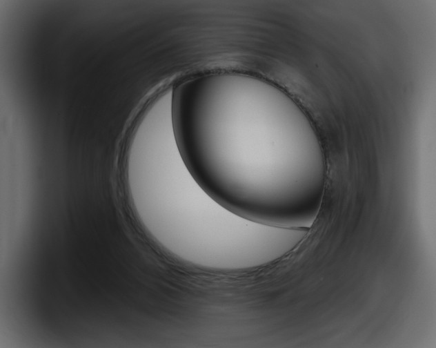 X0000098050112200803280738
