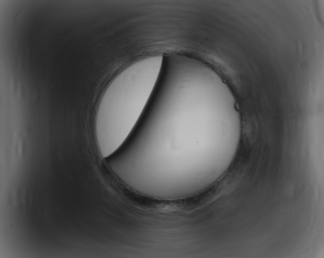 X0000098050115200803280738