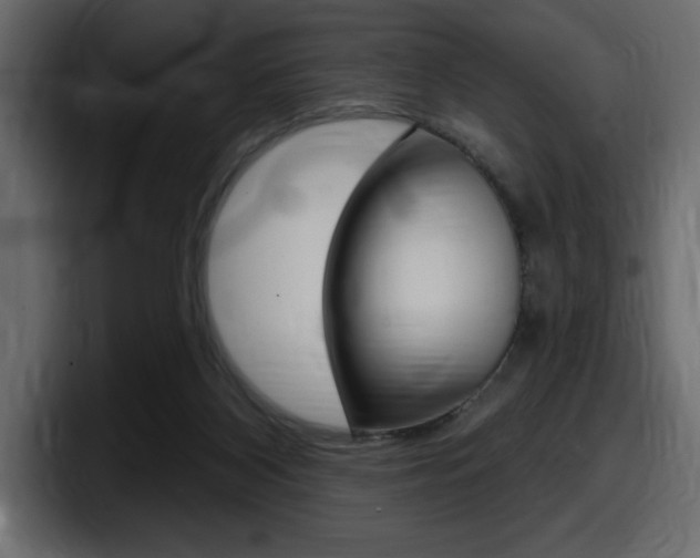 X0000098050116200803280738