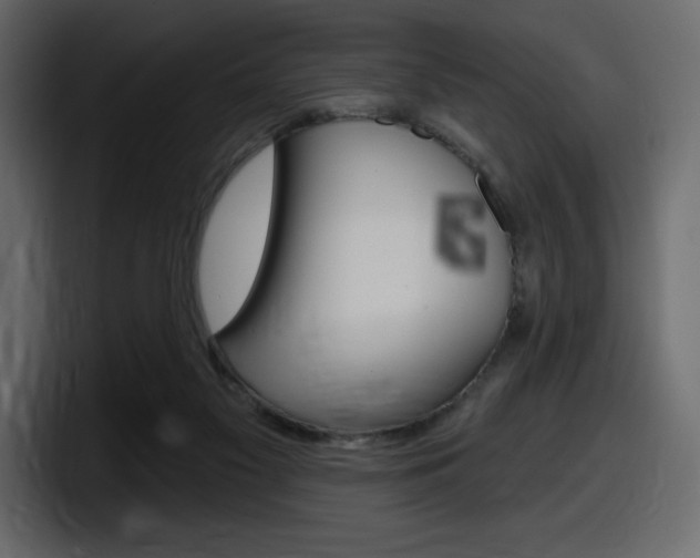 X0000098050117200803280738