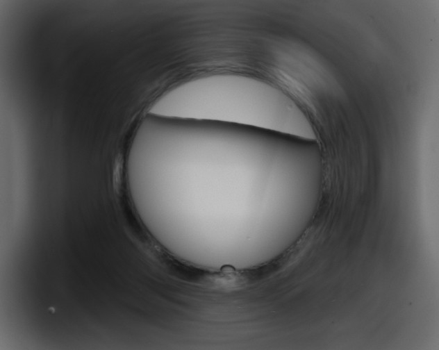 X0000098050118200803280738